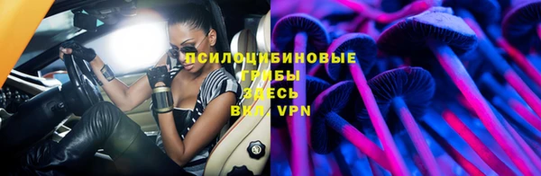 гашик Алексеевка