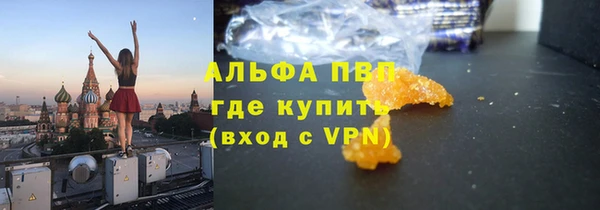 гашик Алексеевка