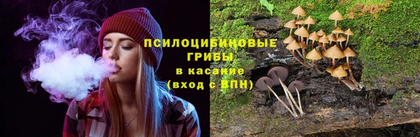 гашик Алексеевка