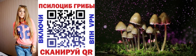 MEGA   Шатура  Галлюциногенные грибы Psilocybine cubensis 