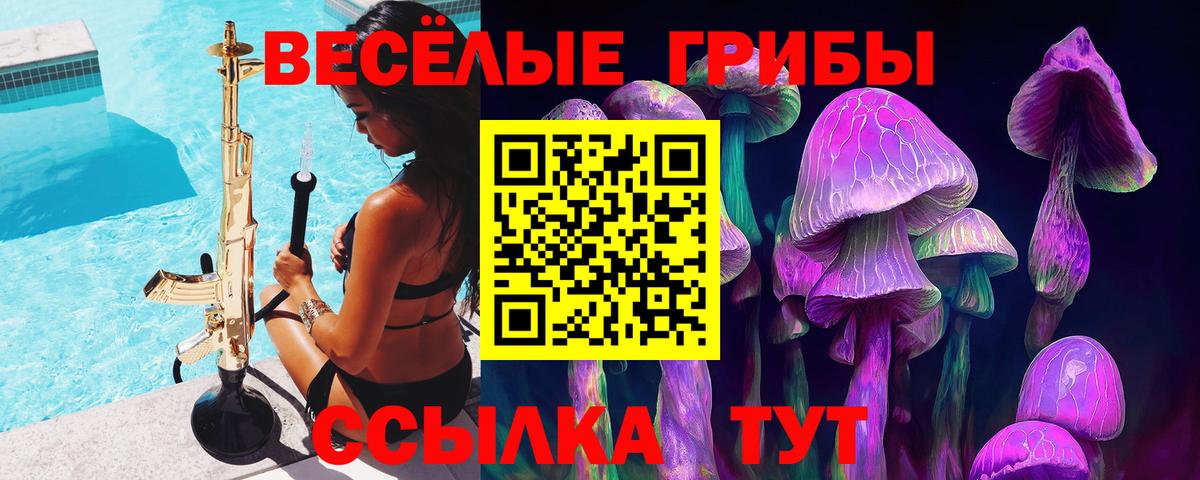 Галлюциногенные грибы Psilocybe  Вход с VPN  где можно купить наркотик  Шатура  Псилоцибиновые грибы Psilocybe 